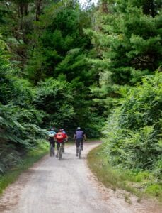 mountain-biking-5029179_1920