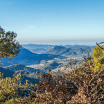 Bivouac, feux et chiens dans le Parc naturel régional des Baronnies provençales : ce qu’il faut savoir avant de partir en randonnée !