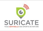 logo-suricate-vertical